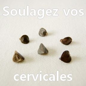 Cosses de sarrasin de qualité premium