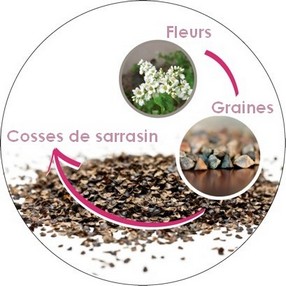 de la fleur du sarrasin à la cosse