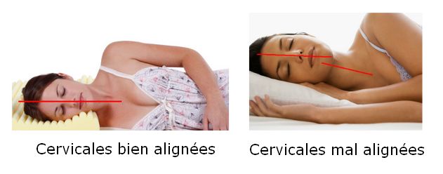 oreiller ergonomique position