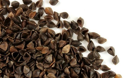 rembourrage naturel oreiller à mémoire de forme
